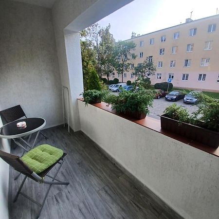 Apartament Lord Stary Toruń Exterior foto